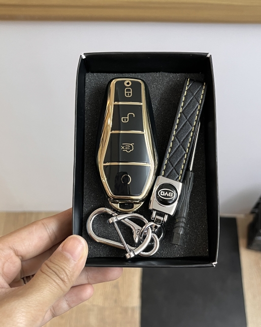 Byd Golden Line Keycase